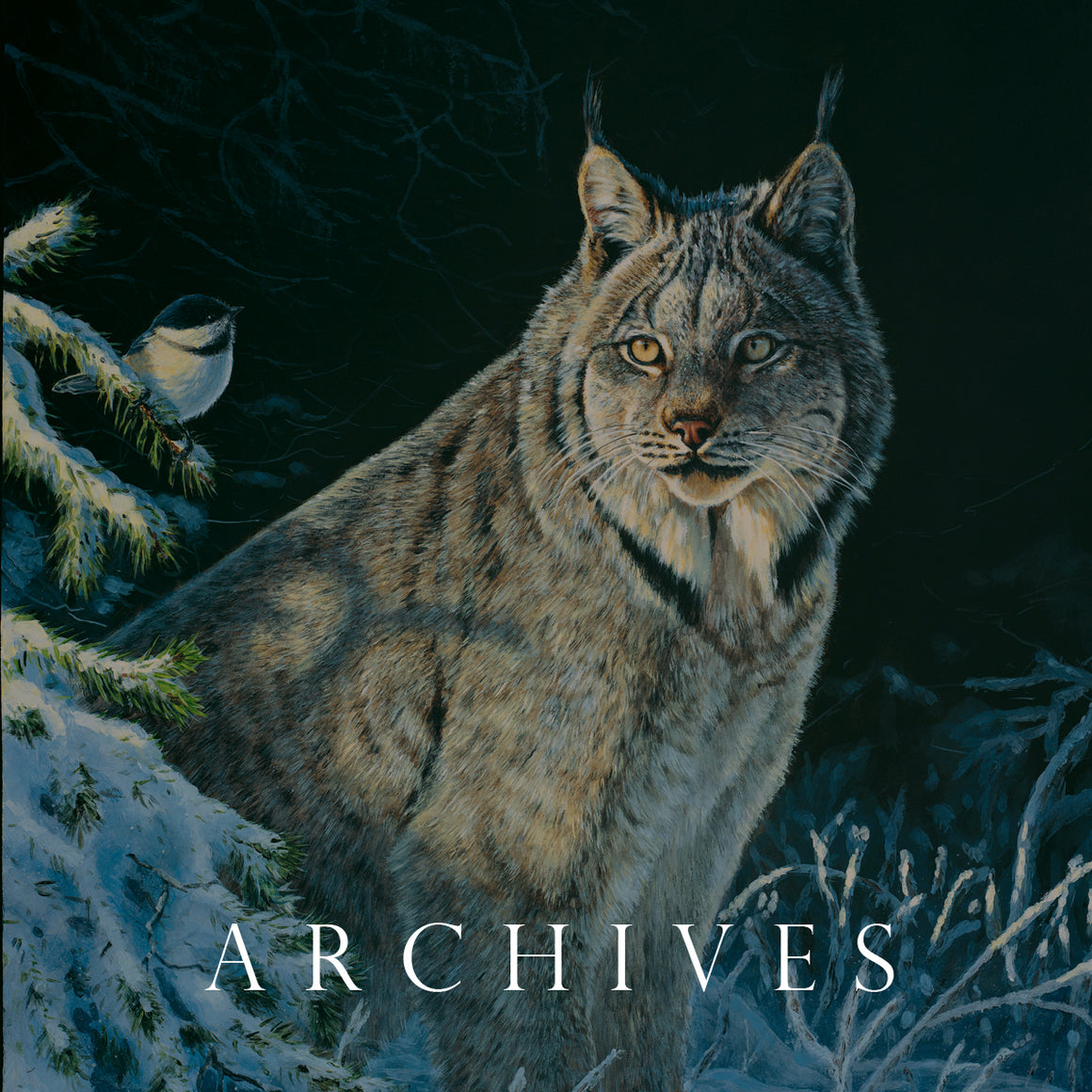 Early Acrylic Wildlife Paintings and Prints