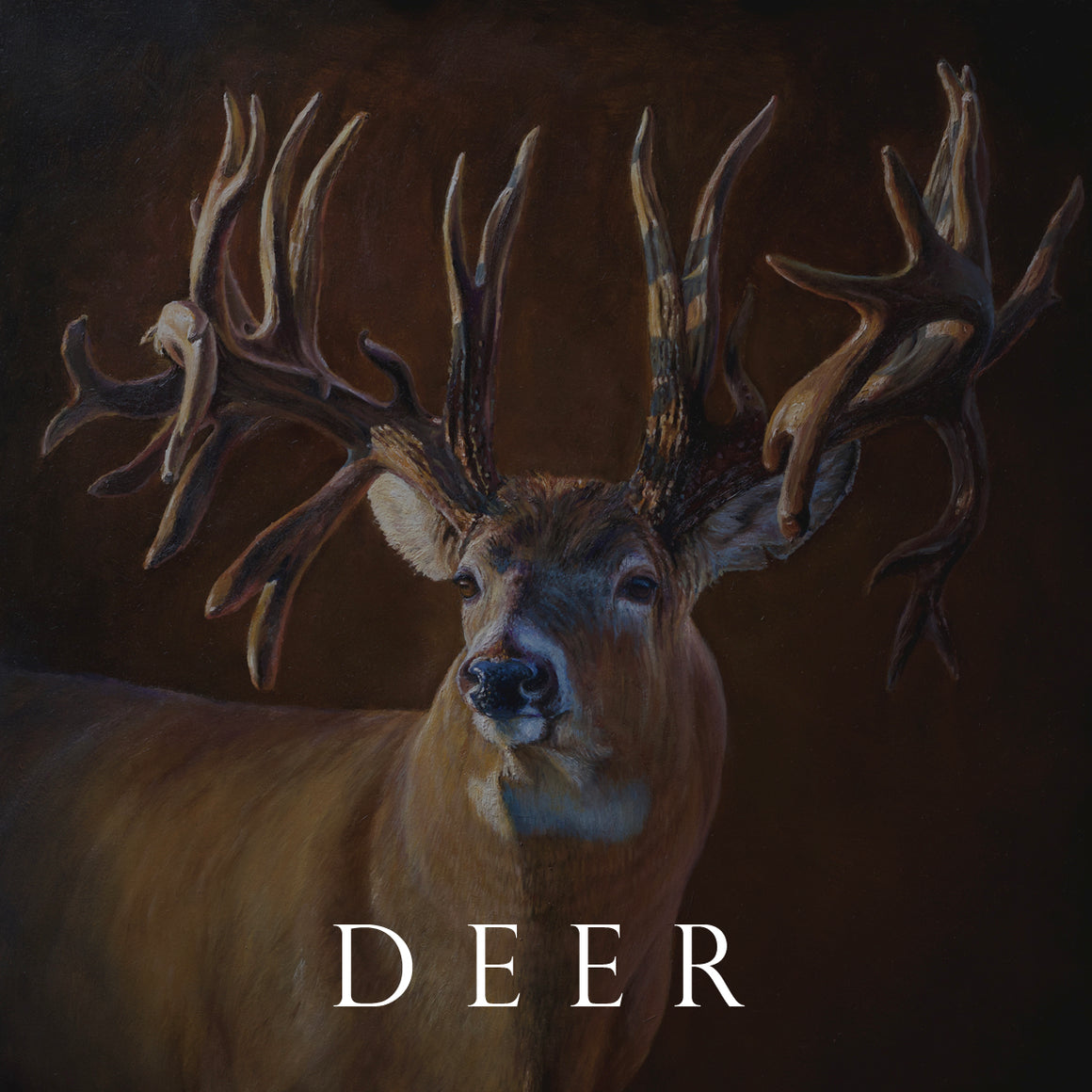 "Painting of a whitetail buck in autumn forest, by Canadian wildlife artist Des McCaffrey."