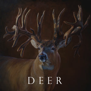 DEER
