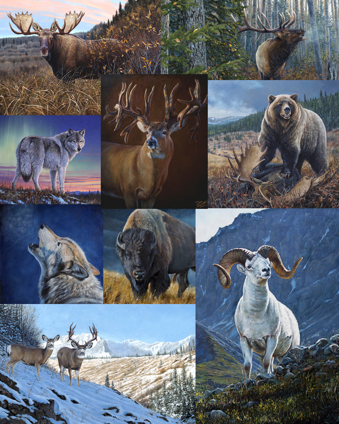 Collection of big game wildlife paintings by Desmond McCaffrey, featuring elk, moose, bighorn sheep, mule deer, and whitetail deer