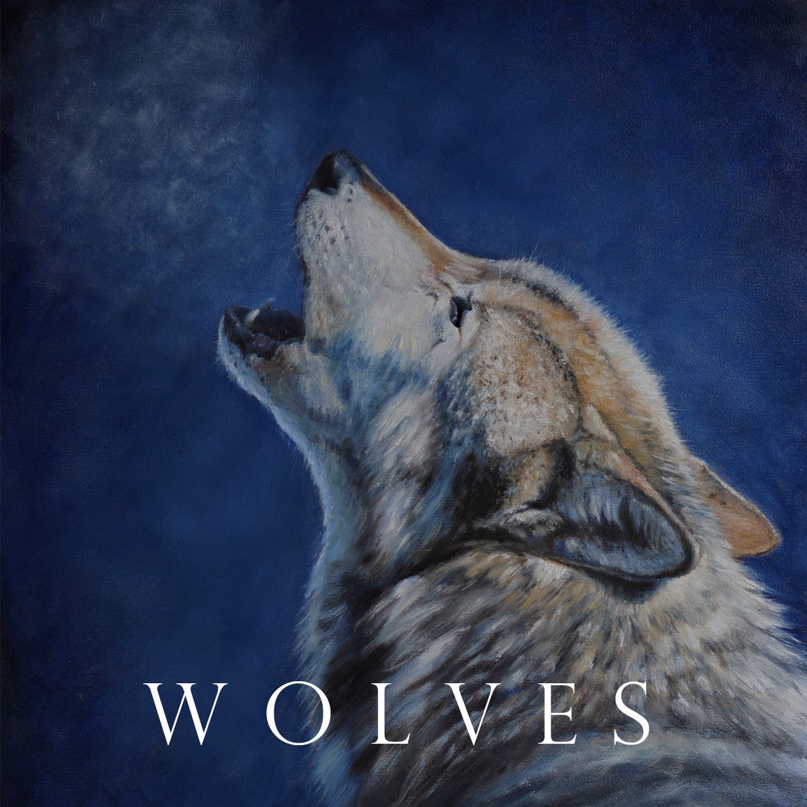 "Painting of a lone wolf howling against a deep blue winter sky, by Canadian wildlife artist Des McCaffrey."