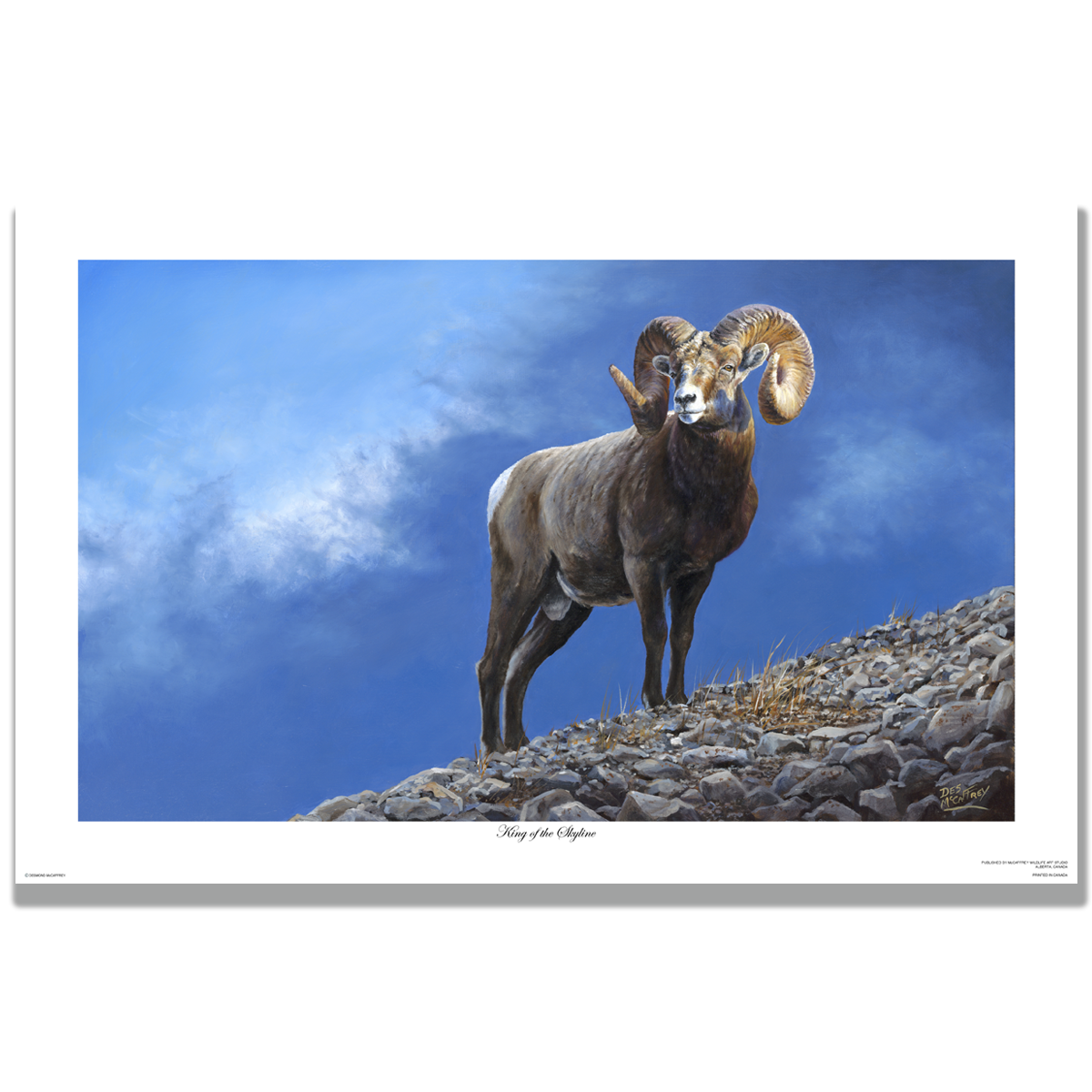 Giclée print “King of the Skyline” featuring an Alberta bighorn ram on a rocky ridge with storm clouds, by Des McCaffrey.
