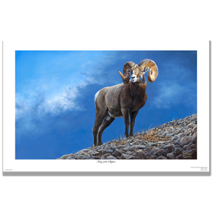 Giclée print “King of the Skyline” featuring an Alberta bighorn ram on a rocky ridge with storm clouds, by Des McCaffrey.