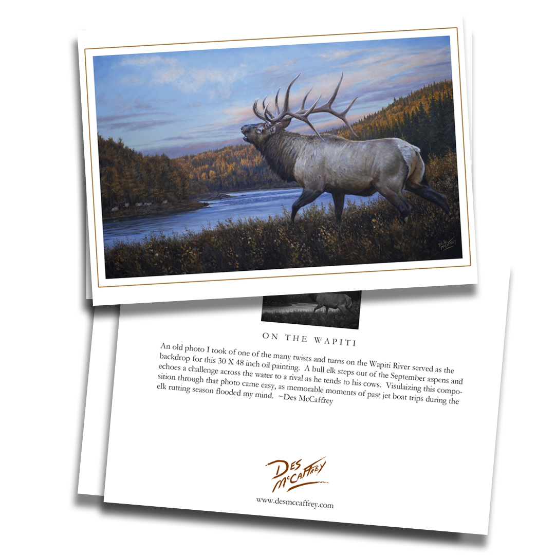 Fine art greeting card titled “On the Wapiti” by wildlife artist Des McCaffrey, featuring a bull elk bugling beside the Wapiti River in autumn with golden forested hills in the background. Includes artist statement on the back of the card.