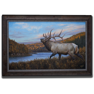 Original oil painting titled  "On The Wapiti", featuring a six point bull elk bugling to a rival across the Wapiti River in northern Alberta, by Canadian wildlife artist Des McCaffrey.