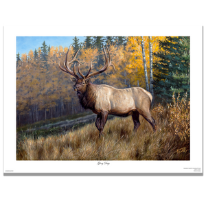 Fine art giclée print titled "Glory Days", featuring a large six point bull elk stepping out of an autumn forest in northern Alberta, by Canadian wildlife artist Des McCaffrey.