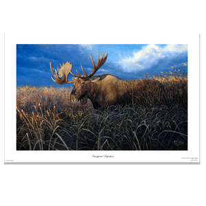 Fine art giclée print titled "Intemperate Disposition,” featuring a large bull moose with ears laid back in an aggressive pose, by Canadian wildlife artist Des McCaffrey.