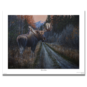 Fine art giclée print titled "Lovers Lane,” featuring a bull moose crossing an old logging road in search of love, by Canadian wildlife artist Des McCaffrey.