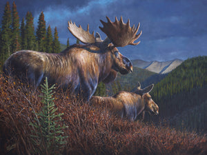 Original oil painting titled ”Yukons Finest" featuring a large bull moose and cow in a dramatic Yukon mountain backdrop, by Canadian wildlife artist Des McCaffrey.