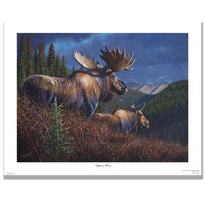 Fine art giclée print titled ”Yukons Finest" featuring a large bull moose and cow in a dramatic Yukon mountain backdrop, by Canadian wildlife artist Des McCaffrey.