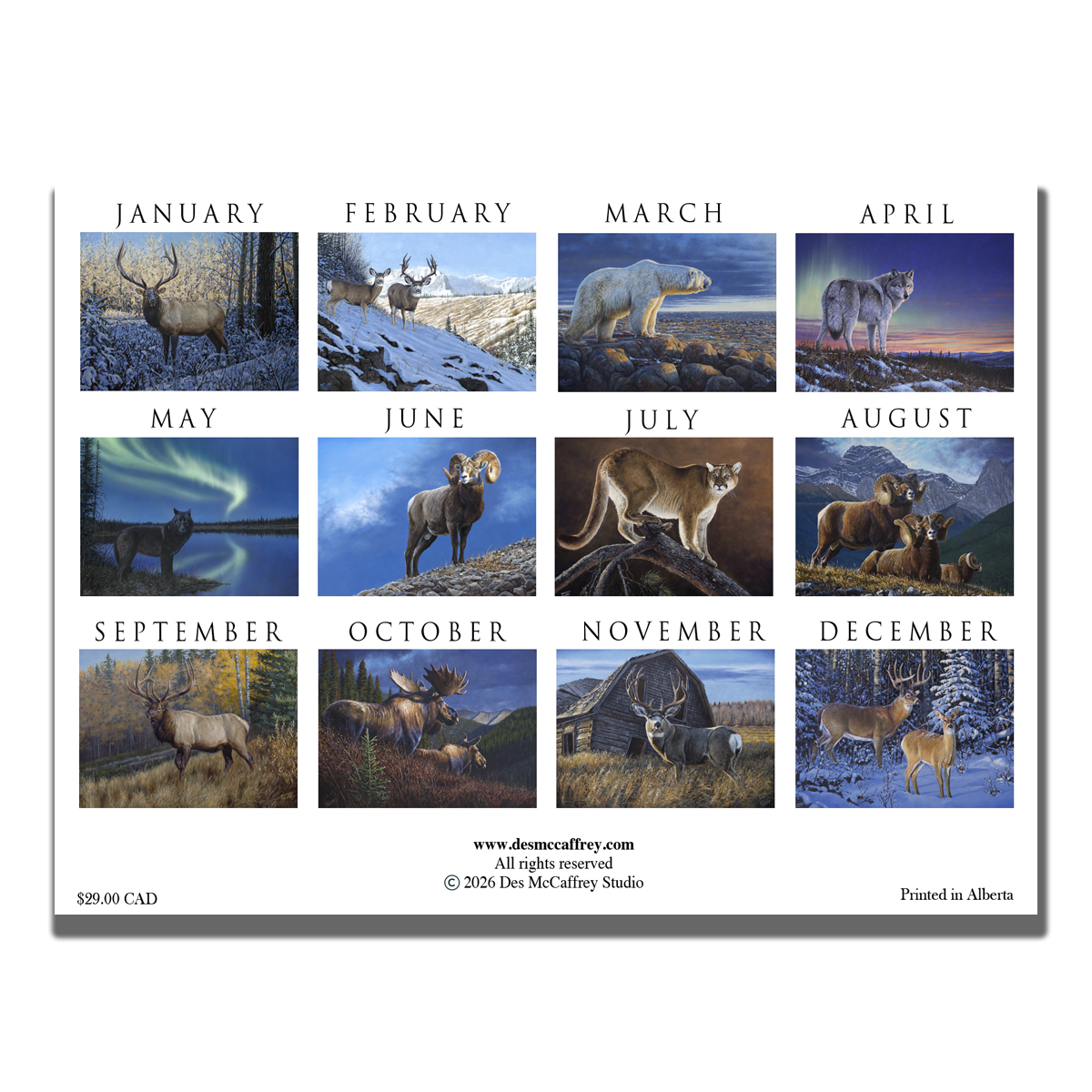 2026 wall calendar by wildlife artist Des McCaffrey featuring the back cover illustrations of several big game animals, shown on a rustic wooden surface with paintbrushes and tubes of oil paint.