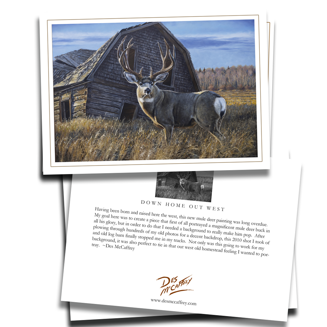 Fine art greeting card titled “Down Home Out West” by wildlife artist Des McCaffrey, featuring a mule deer buck standing beside an old weathered log barn in a prairie field under a clear autumn sky. Includes artist statement on the back of the card.