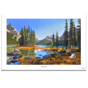 Fine art giclée print titled "Maligne Lake,” featuring a bull elk bedded near Spirit Island in Jasper National Park, by Canadian wildlife artist Des McCaffrey.
