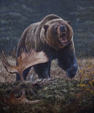 Original oil painting titled "Buried Treasure,” featuring a large male grizzly aggressively protecting a buried food cache consisting of a fallen bull moose.  By Canadian wildlife artist Des McCaffrey.