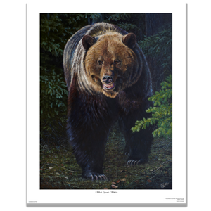 Fine art giclée print titled "What Lurks Within", featuring a large male grizzly in stepping out of the dark spruce, by Canadian wildlife artist Des McCaffrey.