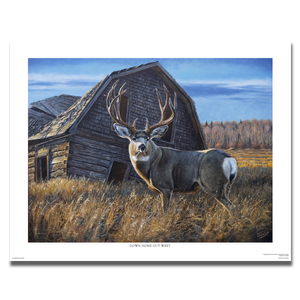 Fine art giclée print of “Down Home Out West,” featuring a large mule deer buck standing in tall autumn grass in front of an old wooden barn, by Canadian wildlife artist Des McCaffrey.