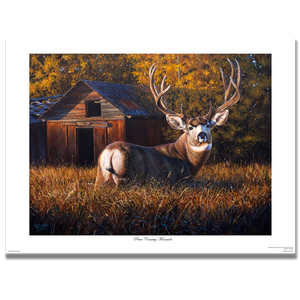 Fine art giclée print titled "Peace Country Monarch" featuring a large mule deer buck in an autumn setting, by Canadian wildlife artist Des McCaffrey.
