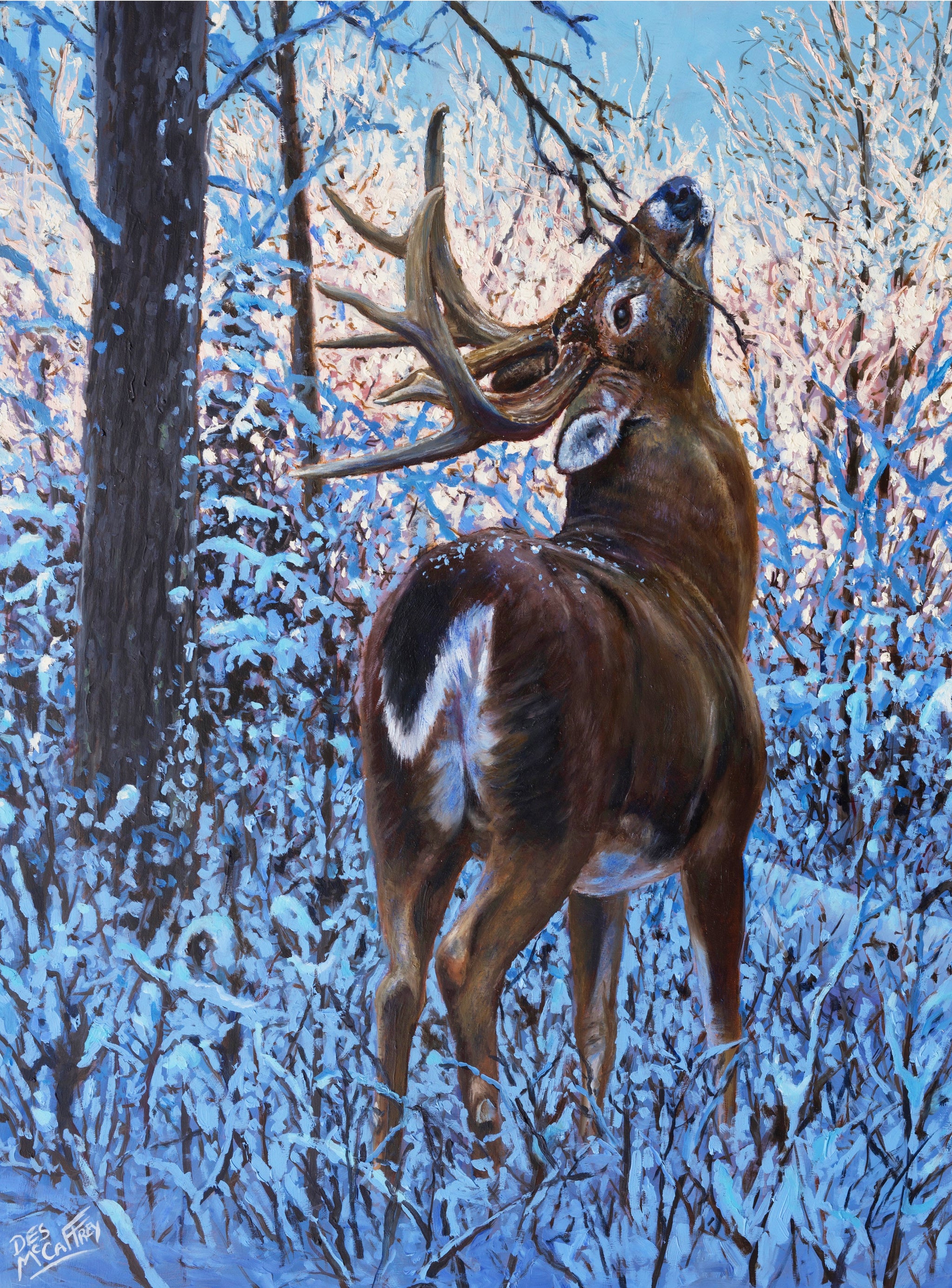 November Ritual - 24" X 18" Oil on Panel