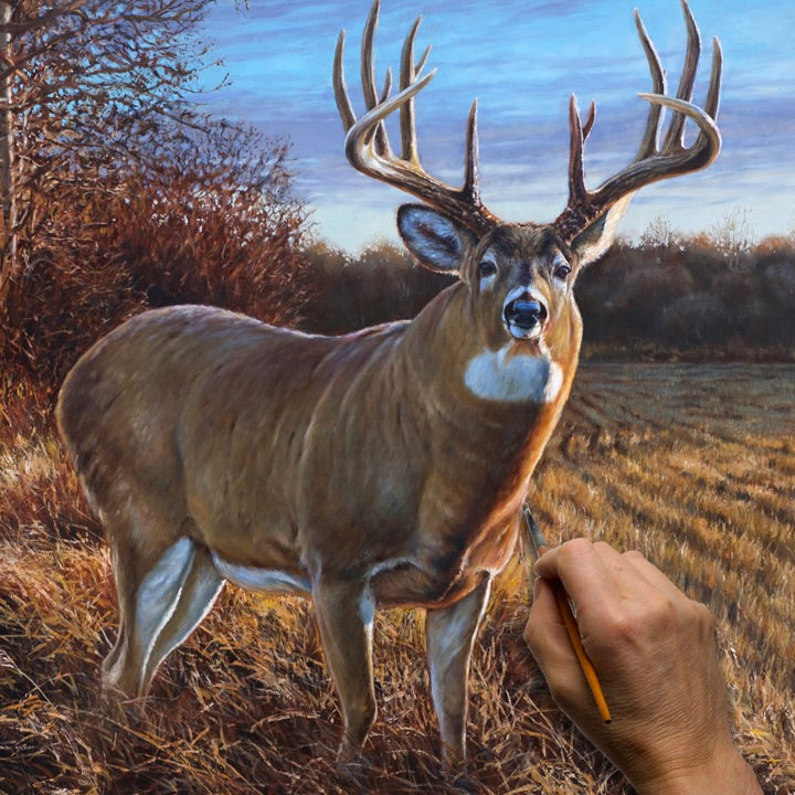“Course thumbnail artwork showing a realistic oil painting of a mature whitetail buck in a golden autumn field. The image highlights the painting process, with the artist’s hand applying fine brushstrokes to bring the deer to life. This image represents the Whitetail Painting Masterclass, an online step-by-step course launching September 3, 2025.”