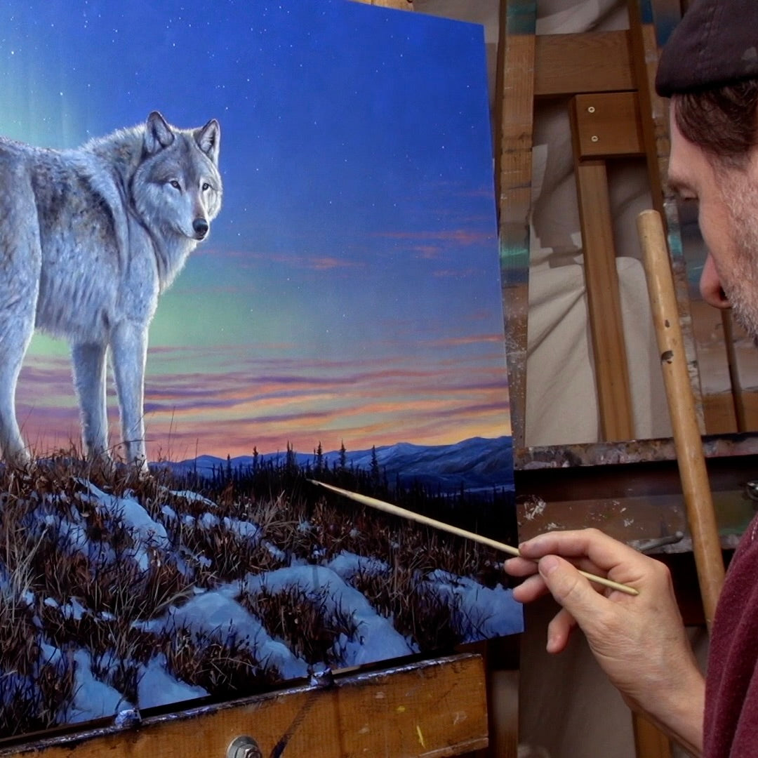 Artist Des McCaffrey painting a wolf under northern lights in a winter twilight.  