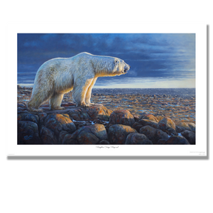 Fine art giclée print titled "Brighter Days Beyond",  featuring a polar bear in dramatic light overlooking the sea, by Canadian wildlife artist Des McCaffrey.