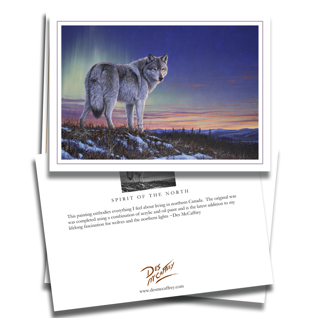 Fine art greeting card titled “Spirit of the North” by wildlife artist Des McCaffrey, featuring a gray wolf standing on a snowy ridge beneath vibrant northern lights and a glowing sunset sky. Includes artist statement on the back of the card.