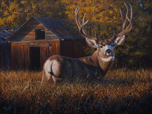 PEACE COUNTRY MONARCH