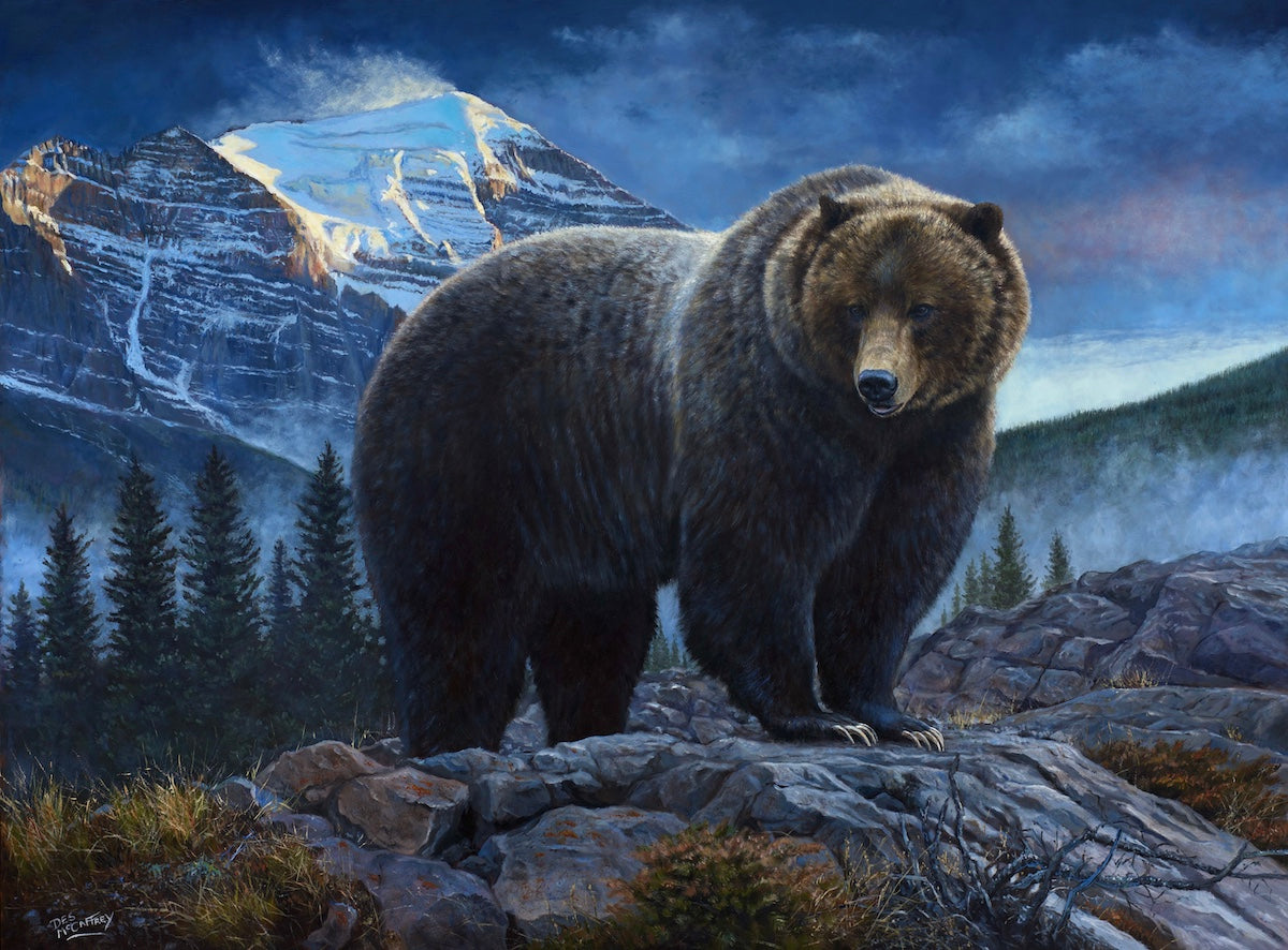 The Boss grizzly bear wildlife art print by Des McCaffrey, featuring the legendary Banff grizzly against the Canadian Rockies.