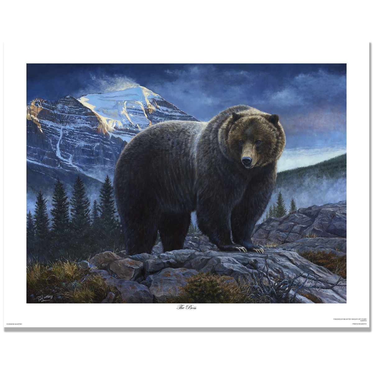The Boss grizzly bear wildlife art print by Des McCaffrey, featuring the legendary Banff grizzly against the Canadian Rockies.