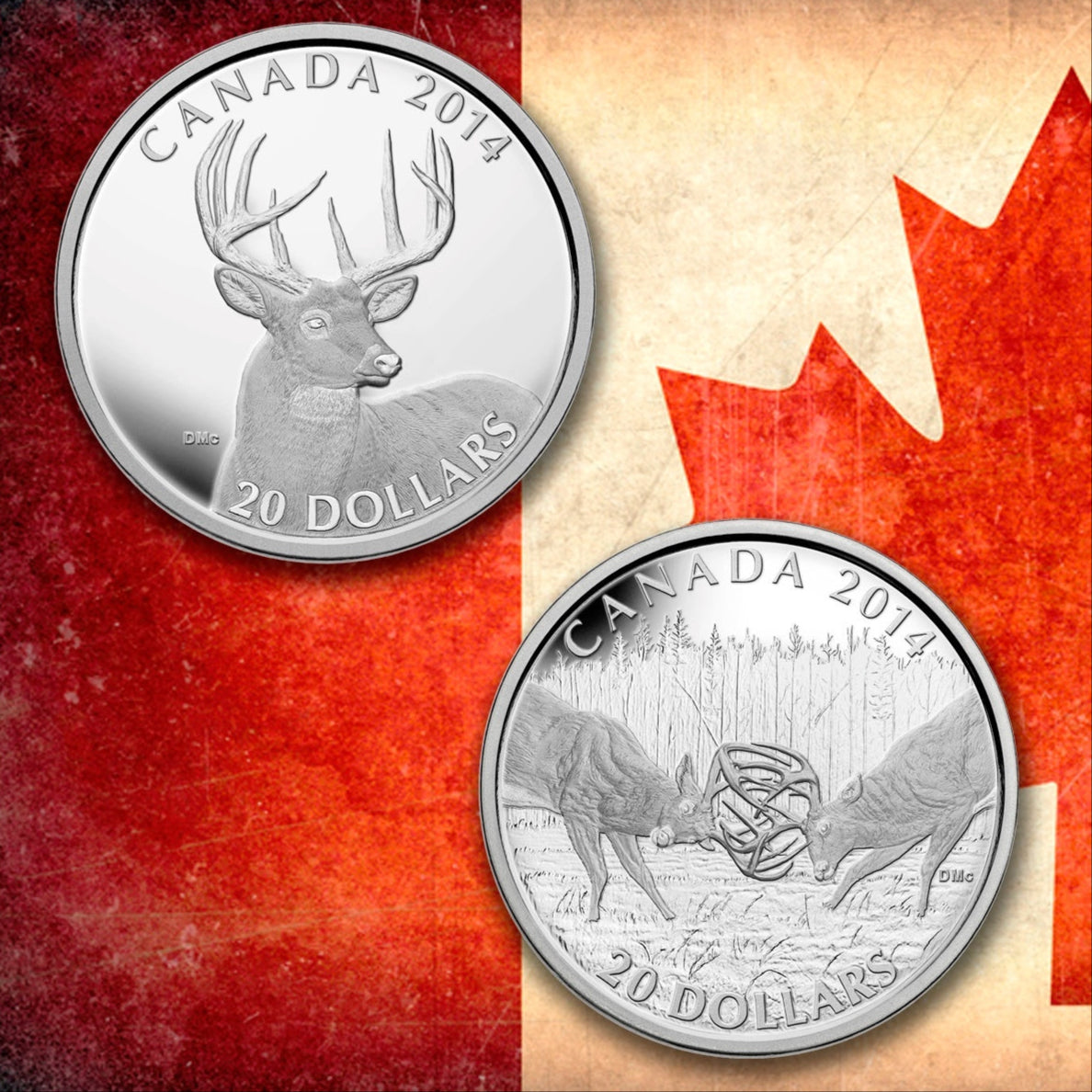 “Official coin designs created by Canadian wildlife artist Des McCaffrey for the Royal Canadian Mint in 2014. The silver and platinum coins feature detailed whitetail deer artwork, including a mature buck portrait and a scene of two bucks locking antlers. These collectible pieces showcase McCaffrey’s renowned ability to capture the strength and spirit of Canadian wildlife.”