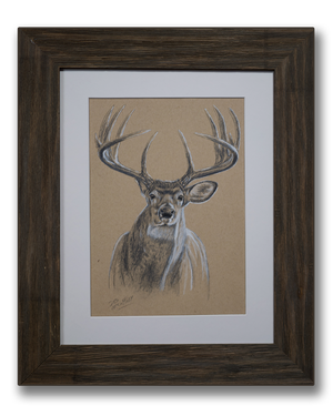 WHITETAIL BUCK PORTRAIT