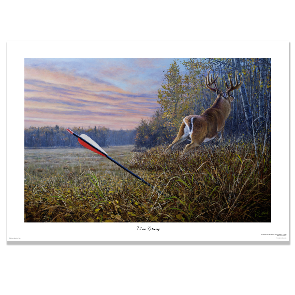 Hunters arrow stuck in the ground after a clean miss on a giant whitetail buck.  Original oil painting by artist Des McCaffrey. 