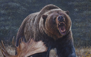 Wildlife art painting of an Alberta grizzly bear by artist Desmond McCaffrey.
