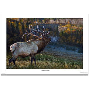 Oil painting of a 6x6 bull elk entering a golden autumn aspen grove, portrayed in dramatic light with visible breath in the crisp air, symbolizing the tension and majesty of rutting season. Wildlife art by Canadian artist Des McCaffrey.