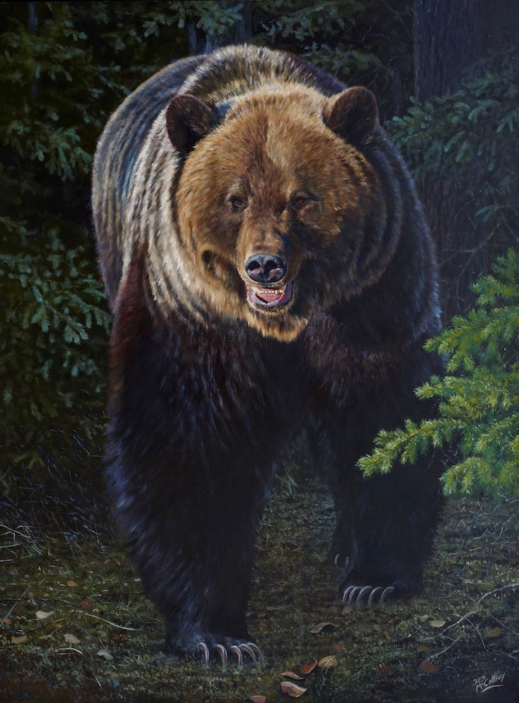 Original 48 x 36 inch oil painting of a powerful grizzly bear in the Alberta wilderness by renowned Canadian big game artist Des McCaffrey.