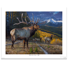 Split 5 Elk Painting | Limited Edition Print - Des McCaffrey