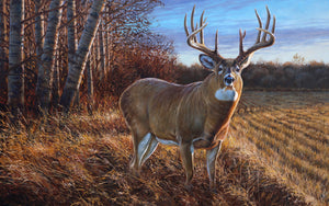 Whitetail deer painting titled "Showtime" featuring a large whitetail buck at the edge of a stubble field in an autumn backdrop, by Canadian wildlife artist Des McCaffrey