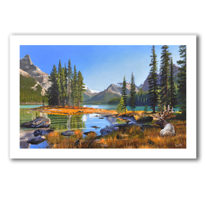Fine art giclée print titled "Maligne Lake,” featuring a bull elk bedded near Spirit Island in Jasper National Park, by Canadian wildlife artist Des McCaffrey.