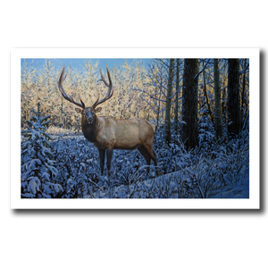 Fine art giclée print titled "Snow Forest Bull,” featuring a six point bull elk standing in a snow covered forest, by Canadian wildlife artist Des McCaffrey.