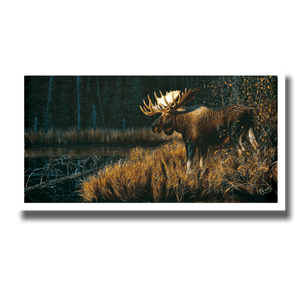 Fine art giclée print titled "Maximus,” featuring a large bull moose overlooking an old beaver pond while standing in bright sunlight, by Canadian wildlife artist Des McCaffrey.