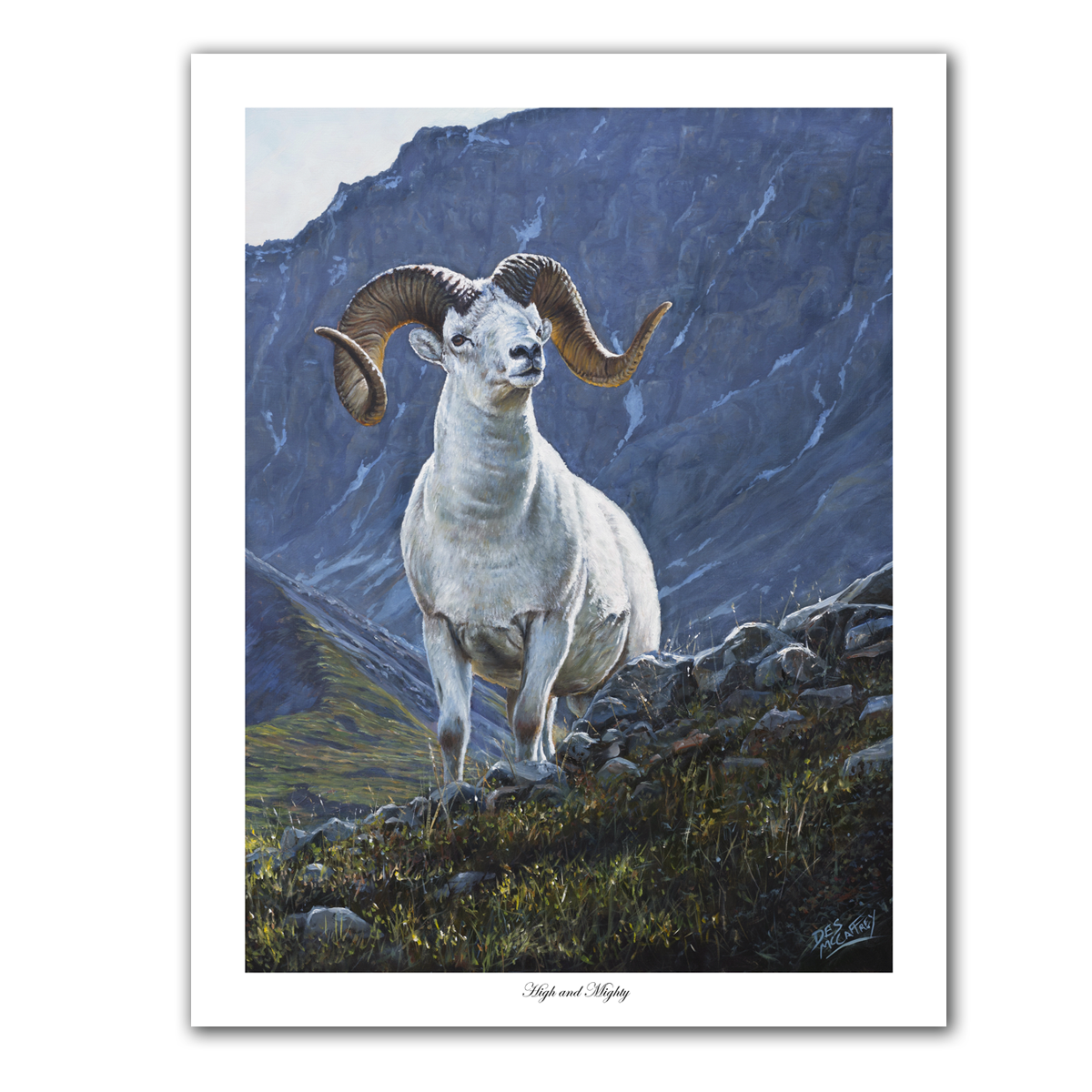 Fine art giclée print titled "High & Mighty,” featuring a mature Dall sheep ram with a cool mountain backdrop, by Canadian wildlife artist Des McCaffrey.