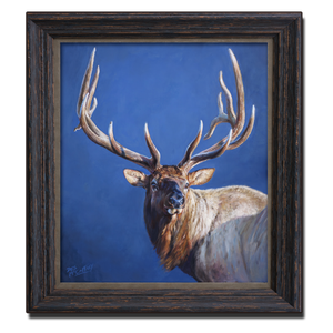 Original oil painting of a 7 X 7 bull elk titled "A Pair of Sevens",  featuring a portrait of bull elk in strong sunlight with a cool background, by Canadian wildlife artist Des McCaffrey.