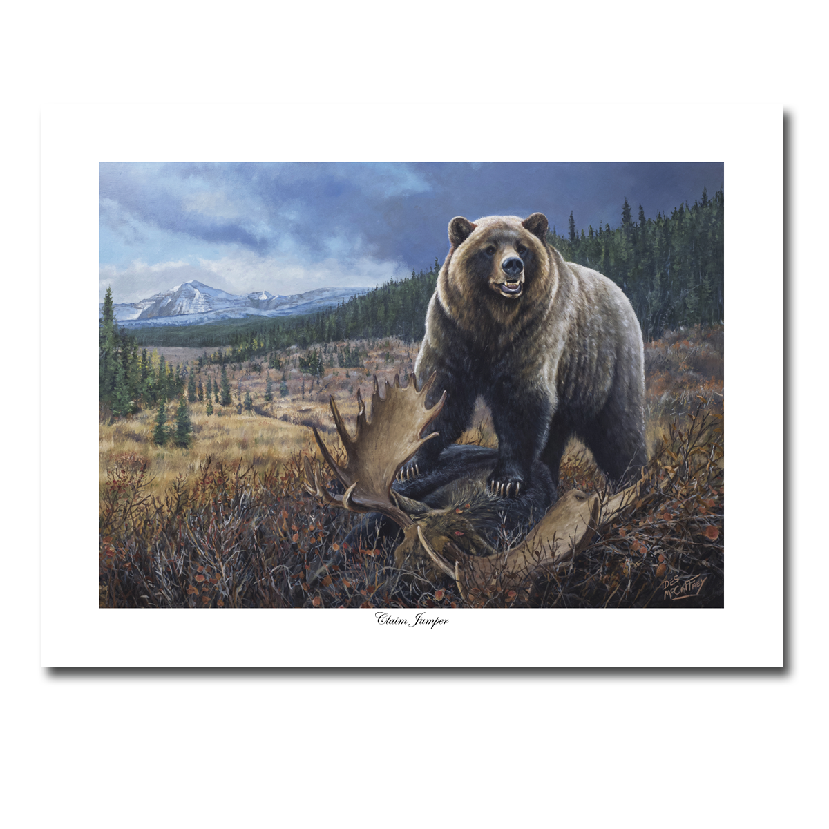 Fine art giclée print titled "Claim Jumper" featuring a grizzly bear aggressively posturing over a dead moose with the Alberta foothills in the background. By Canadian wildlife artist Des McCaffrey.