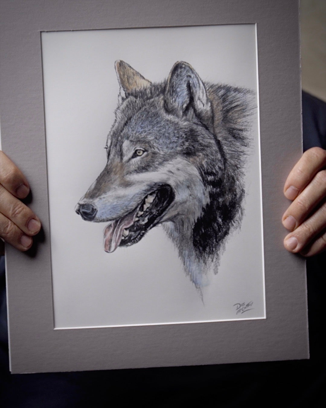 Download Wolf, Animal, Portrait. Royalty-Free Stock Illustration Image -  Pixabay