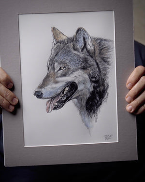HAND COLORED WOLF PORTRAIT (Taking Orders)