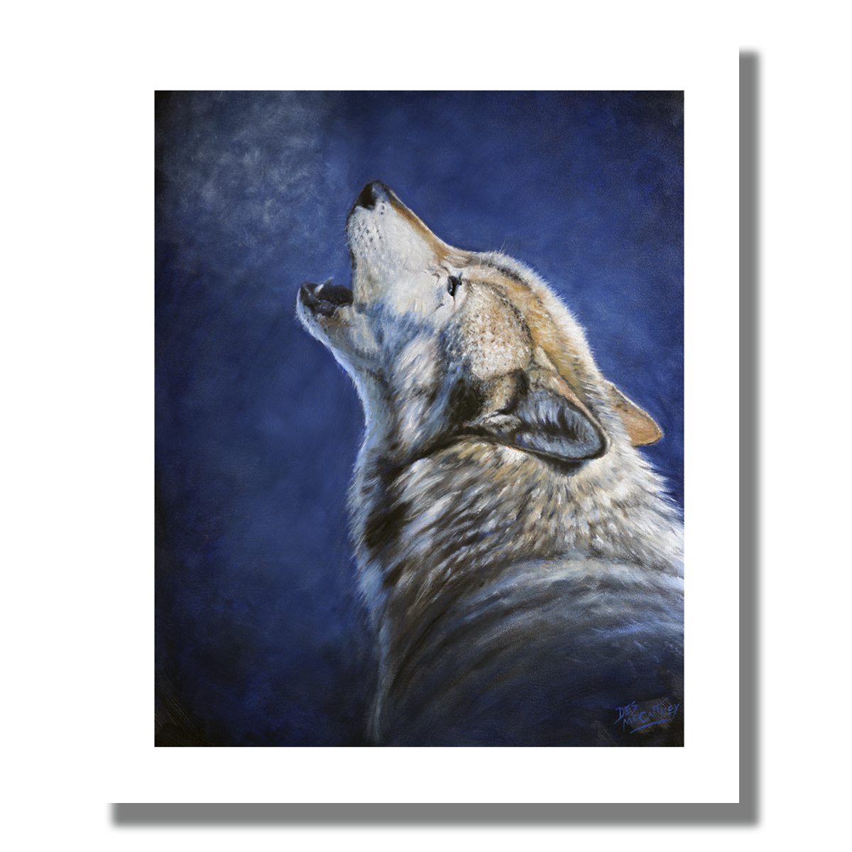 Fine art giclée print titled "Howling Wolf Portrait,” featuring a timber wolf howling with a cool blue background and breath rising as it hits the cold winter air.  By Canadian wildlife artist Des McCaffrey.