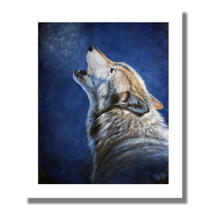 Fine art giclée print titled "Howling Wolf Portrait,” featuring a timber wolf howling with a cool blue background and breath rising as it hits the cold winter air.  By Canadian wildlife artist Des McCaffrey.