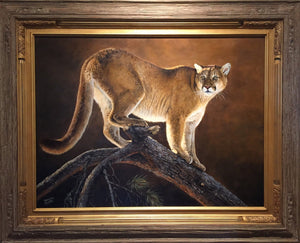 MOUNTAIN LION AND JACKPINE (ORIGINAL)