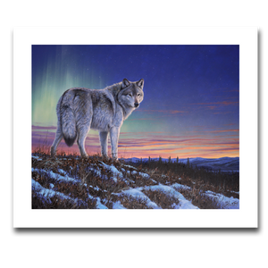 Fine art giclée print titled "Spirit of the North”,  featuring a lone wolf on a ridge with the twilight and beautiful northern lights in the background. By Canadian wildlife artist Des McCaffrey.