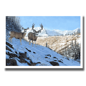 Fine art giclée print titled “On Western Slopes”, featuring a mule deer buck and doe standing on a wintery slope in the Alberta foothills, by Canadian wildlife artist Des McCaffrey.